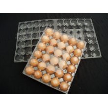 30-Compartment Plastic Egg Tray Manufacturer